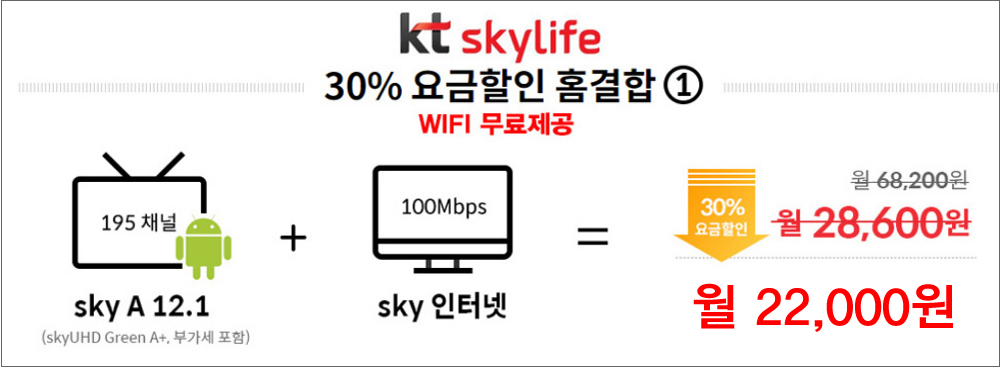 KT½ºÄ«À̶óÀÌÇÁ ÀÎÅͳÝ+TV°áÇÕ